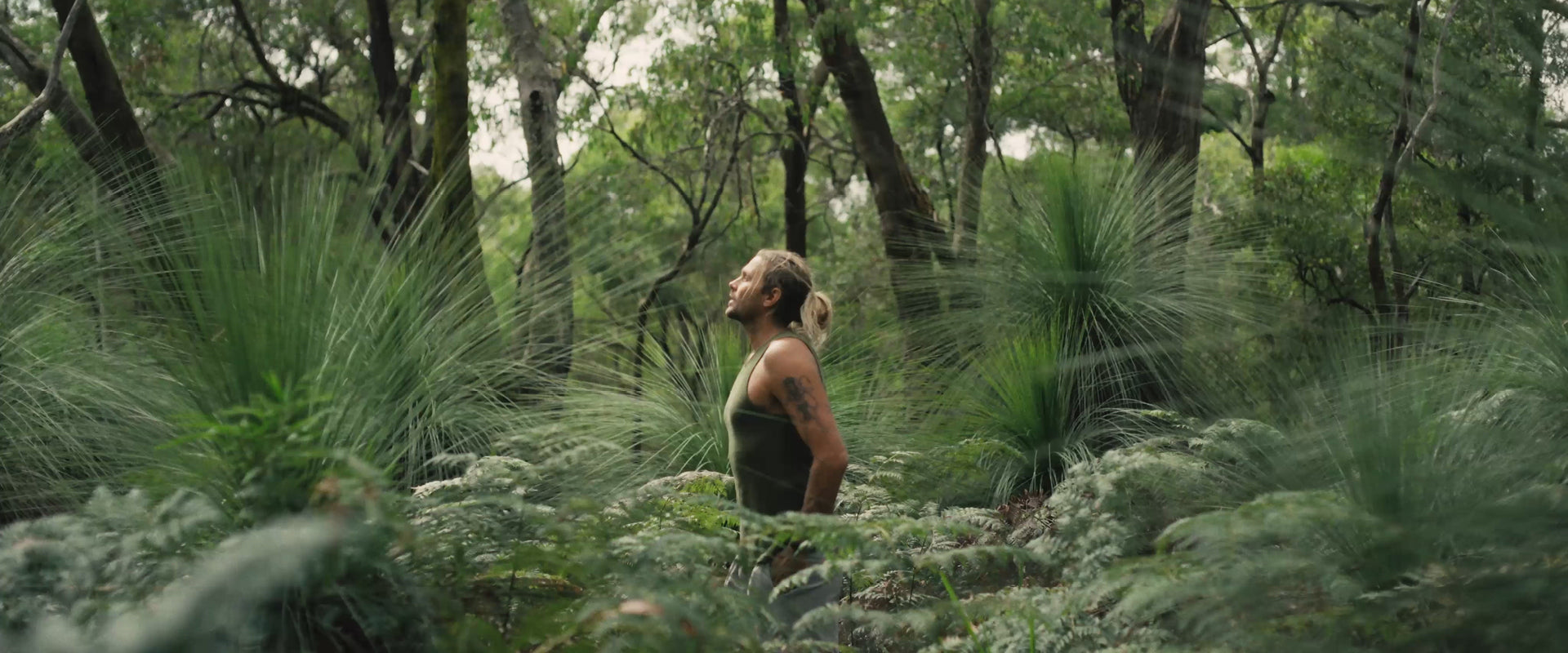 why your brain craves quiet spaces in a noisy world