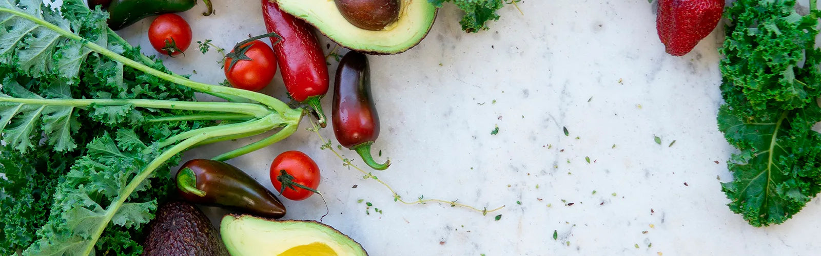 Dr Hayley: The fundamentals of food