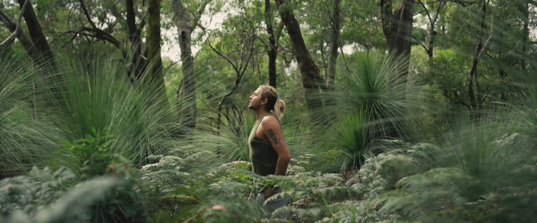 why your brain craves quiet spaces in a noisy world
