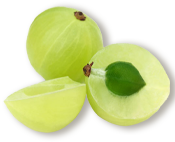 Amla berry