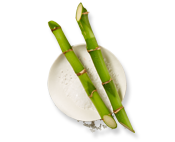 Bamboo