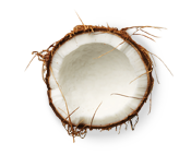 Coconut oil