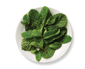 Menthol