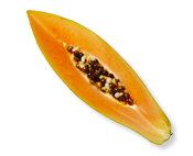Papaya