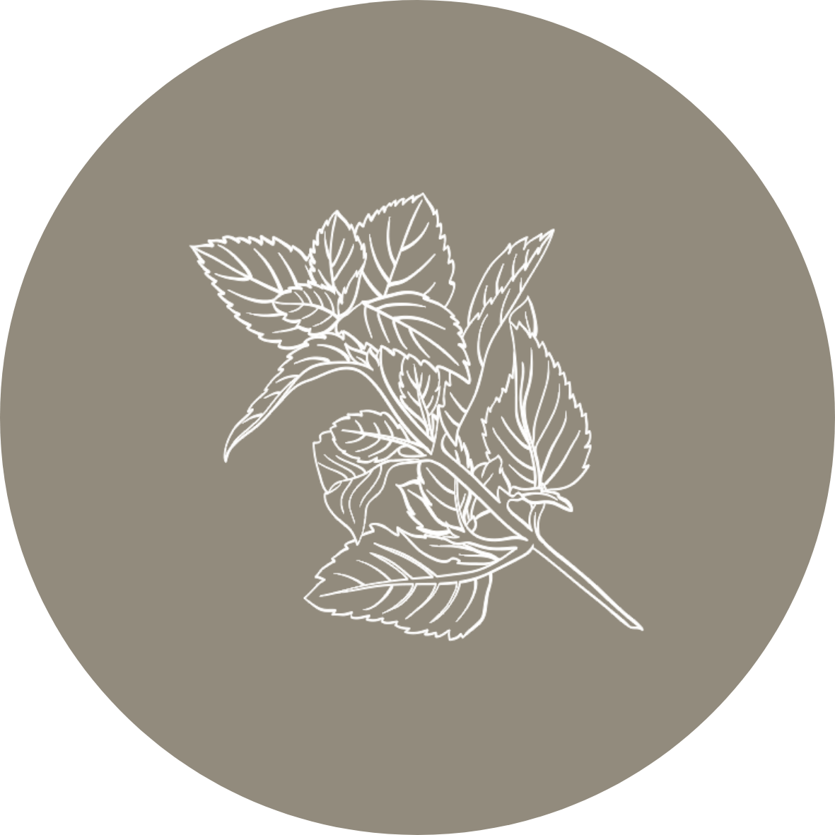 Clean by endota Native Mint & Cedarwood scent